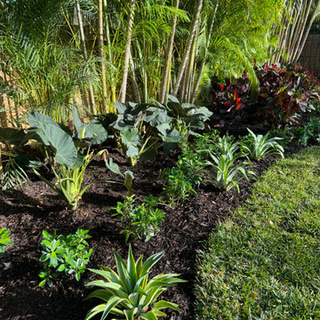 Miami Shores Landscape Design