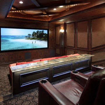 Home Theaters / Cinema Rooms