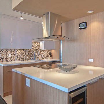 Pacific Heights Penthouse-Sacramento Street