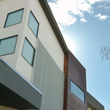 2211 Rosedale, Houston TX 77004, Gryphon Builders, Custom Contemporary Home