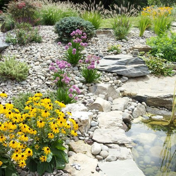 Stream and Koi Pond