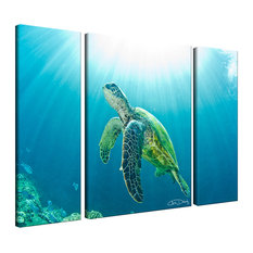 Ready2HangArt Christopher Doherty 'Sea Turtle' Canvas Wall Art (3 Piece)