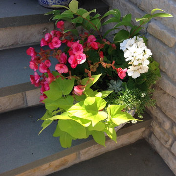 Container Gardens