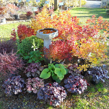 Horsford Gardens & Nursery