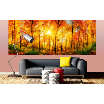 Sunny Forest Wall Mural