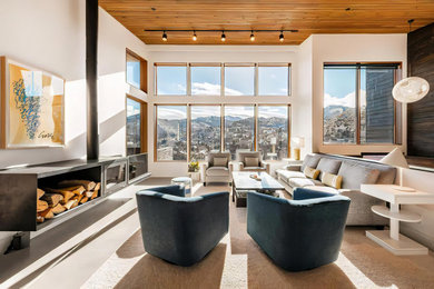 Inspiration for a mid-sized open concept concrete floor, gray floor, wood ceiling and wood wall living room remodel in Other with white walls, a hanging fireplace, a metal fireplace and a tv stand