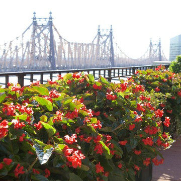 New York Penthouse Garden