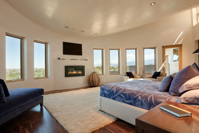 Large trendy master dark wood floor bedroom photo in Albuquerque with beige walls and a ribbon fireplace