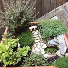 Mini garden ideas