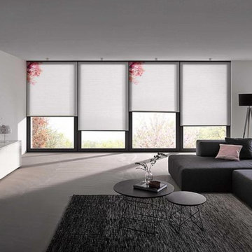Honeycomb shades + blinds