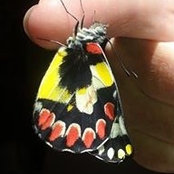 Linda Nunn's photo