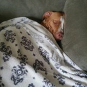 Lisa Deming's photo