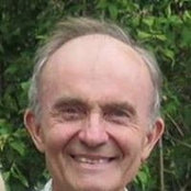 Nicholas Johnsons billede