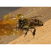 Nicole Jo's photo