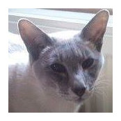 Fiona Perkins's photo