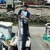 David Laramore's photo