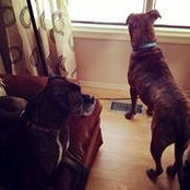 Colleen Hauser's photo