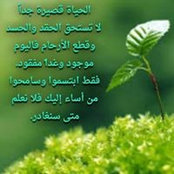 Muhanad Mostafa's photo