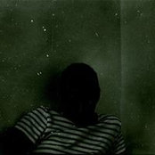 Mihai Cipleaさんの写真