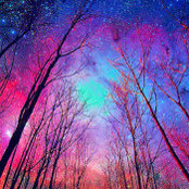 Louann Haag's photo