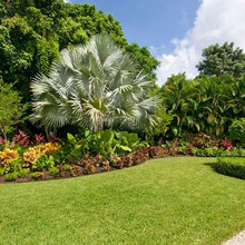 Front Landscape