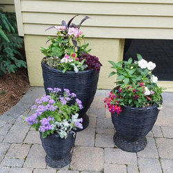 Season Flowers - Products