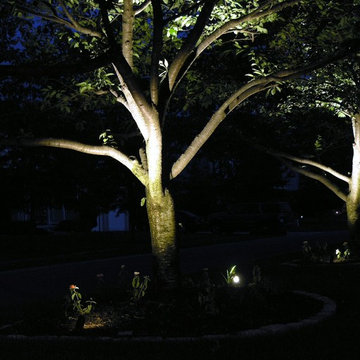 Outdoor Deck Patio Lighting