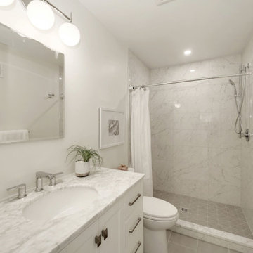 Columbia Heights Rowhouse Transformation