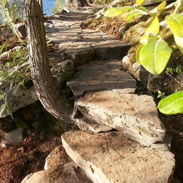 Pathway
