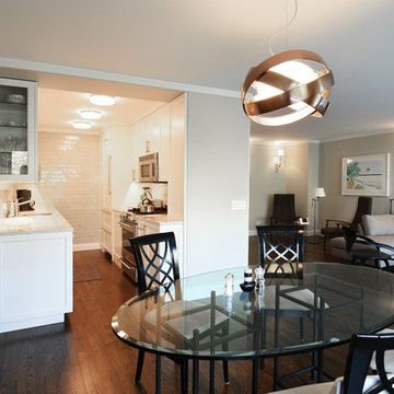 Living Room/Dining Room/Kitchen