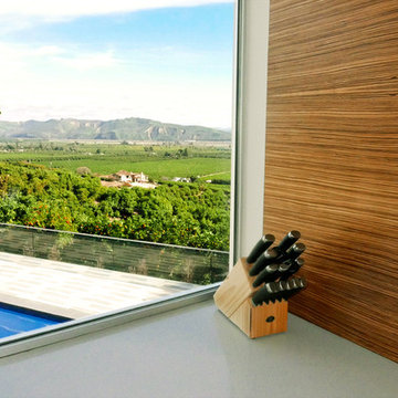 Contemporary Zebrawood & Glass Kitchen