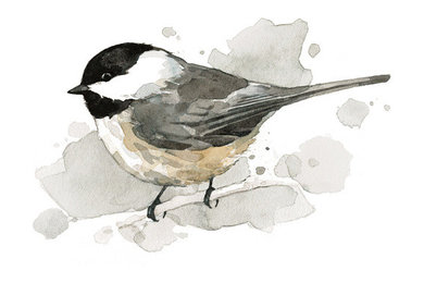 Watercolors / Birds