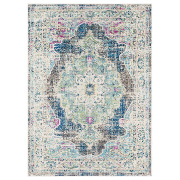 Ludlow Updated Traditional Farmhouse 2'7" x 7'3" Runner