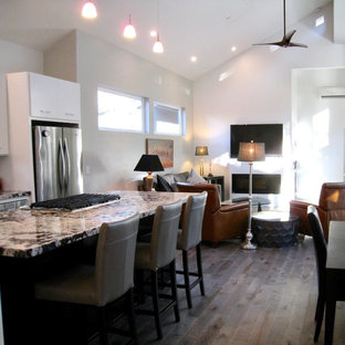 サンルイスオビスポの小さいトランジショナルスタイルのLDKの画像 (グレーの壁、無垢フローリング、吊り下げ式暖炉、漆喰の暖炉まわり、グレーの床)