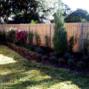 Carrollwood Versaille Roses & Hedges
