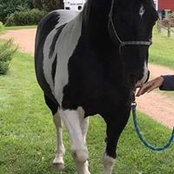 LuAnn Conroy's photo