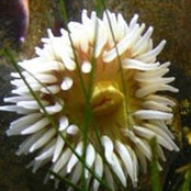 Maggie M Worthington's photo