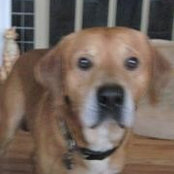 Susan Booker's photo