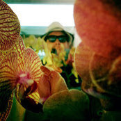 ron martin's photo
