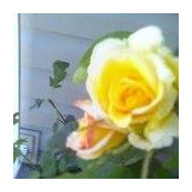 Cherie Wilkinson's photo