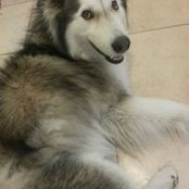 Marie Canoy's photo