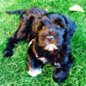 virginia tenpenny's photo