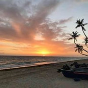 Donna Cerminaro's photo