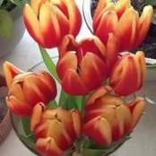 Foto von Linda L Winters