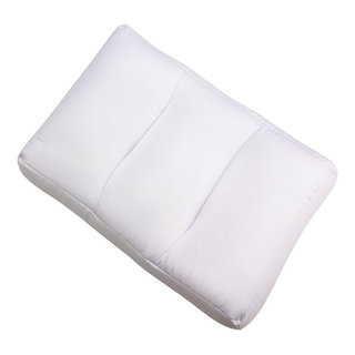 https://st.hzcdn.com/fimgs/c2a1060d03cd30de_5967-w320-h320-b1-p10--contemporary-bed-pillows.jpg