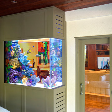 A Better Window - In-Wall Aquarium