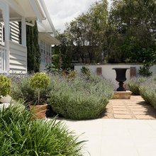 Musgrave Front Yard