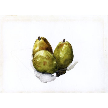 Charles Demuth Three Pears, 18"x27" Wall Decal