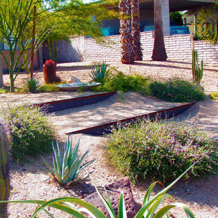 Cette image montre un jardin arrière design.