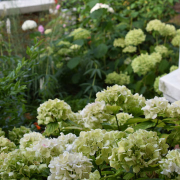 Front Garden Ealing